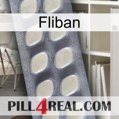 Fliban 08